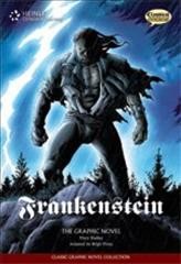 Frankenstein : the graphic novel / Mary Shelley ; script by Jason Cobley ; adapted by Brigit Viney.