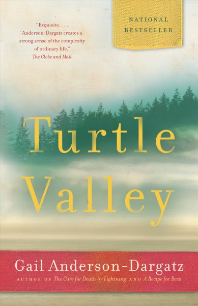 Turtle Valley / Gail Anderson-Dargatz.