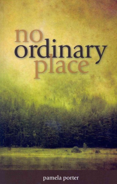 No ordinary place / Pamela Porter.