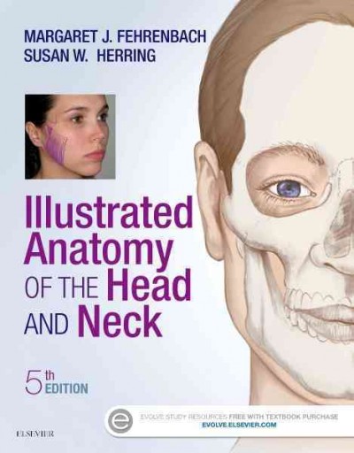 Illustrated anatomy of the head and neck.