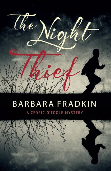 The night thief / Barbara Fradkin.