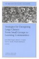 Strategies for energizing large classes : from small groups to learning communities  Cover Image