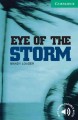 Go to record Eye of the storm