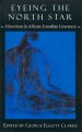 Go to record Eyeing the north star : directions in African-Canadian lit...