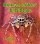 Animals without backbones.  Cover Image
