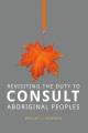 Revisiting the duty to consult Aboriginal peoples. Cover Image