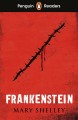Frankenstein  Cover Image