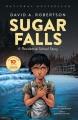 Sugar Falls : a residential school story  Cover Image